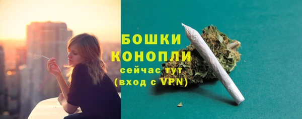 дмт Арсеньев