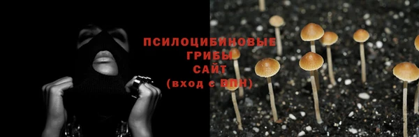 а пвп мука Аркадак