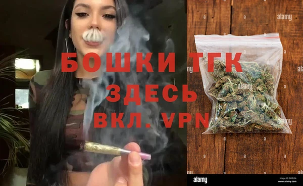 дмт Арсеньев