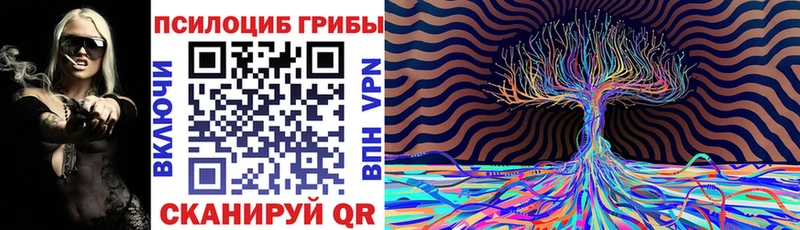 купить наркоту  Георгиевск  Галлюциногенные грибы Cubensis 